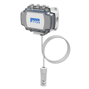 Pendant Temperature and Humidity Sensor